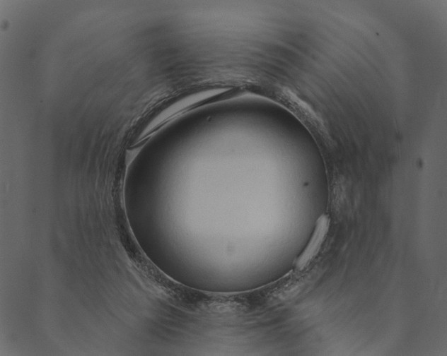 X0000089660209200707121207