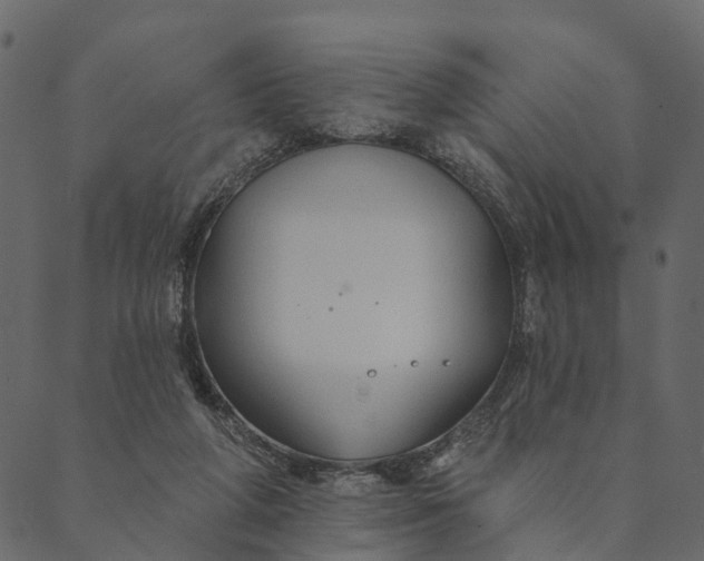 X0000089660210200707121207