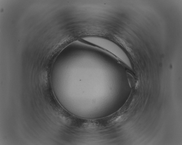 X0000089660211200707121207