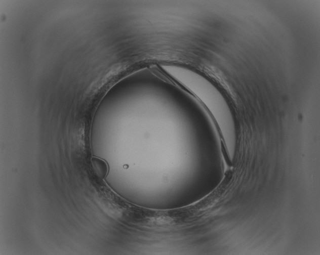 X0000089660212200707121207