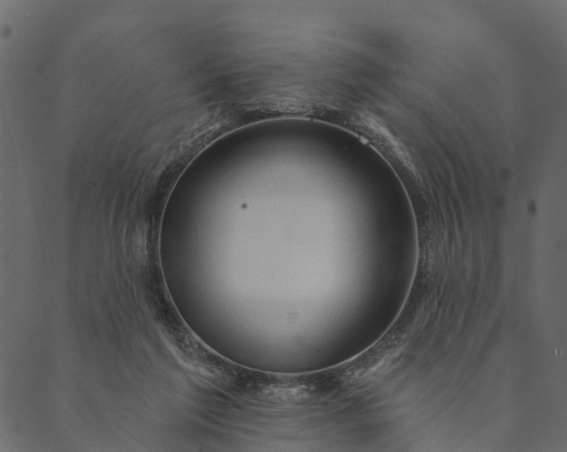 X0000089660213200707121207