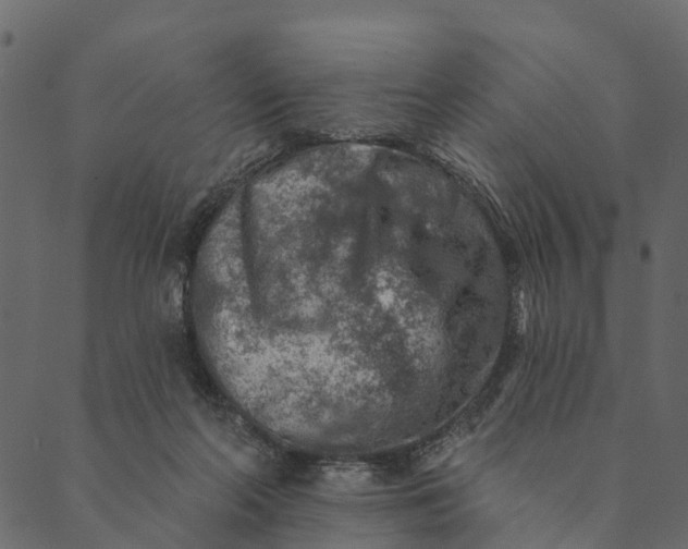 X0000089660214200707121207