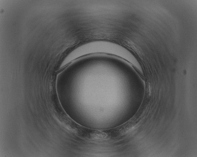 X0000089660215200707121207