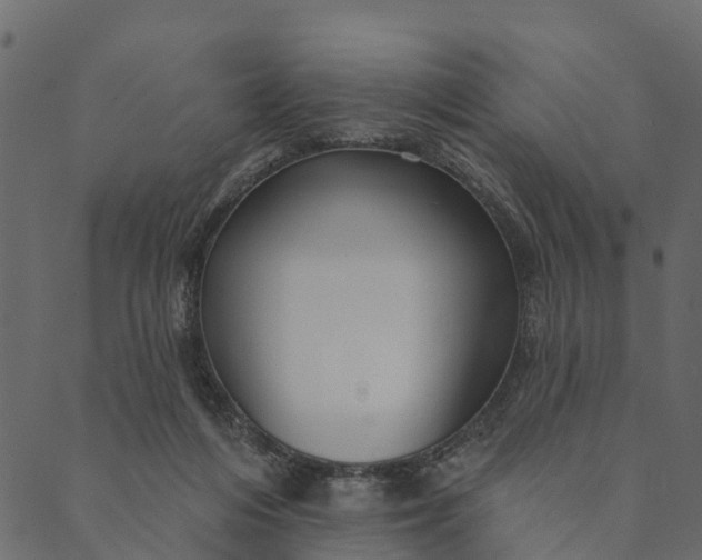 X0000089660216200707121207