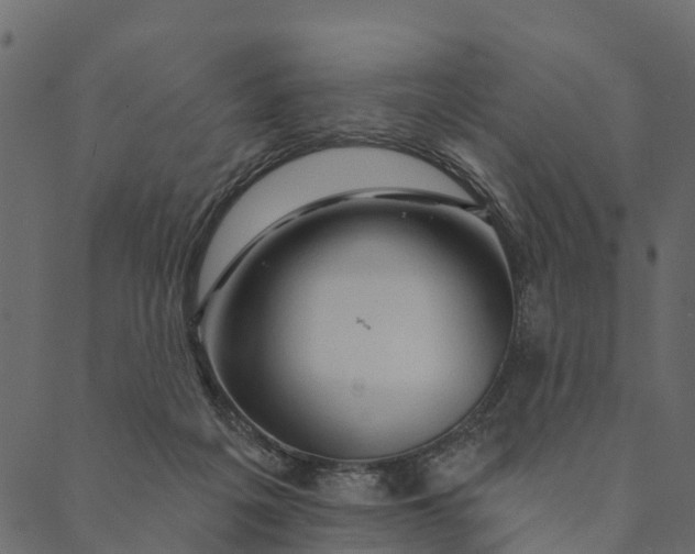 X0000089660217200707121207