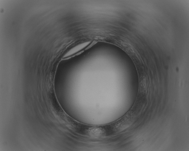 X0000089660218200707121207