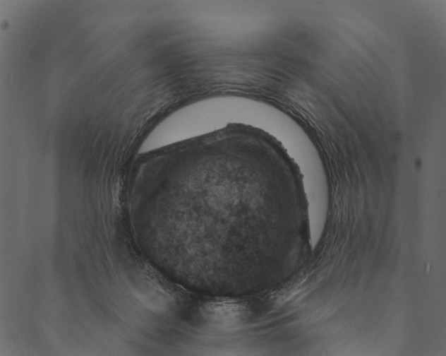 X0000089660219200707121207