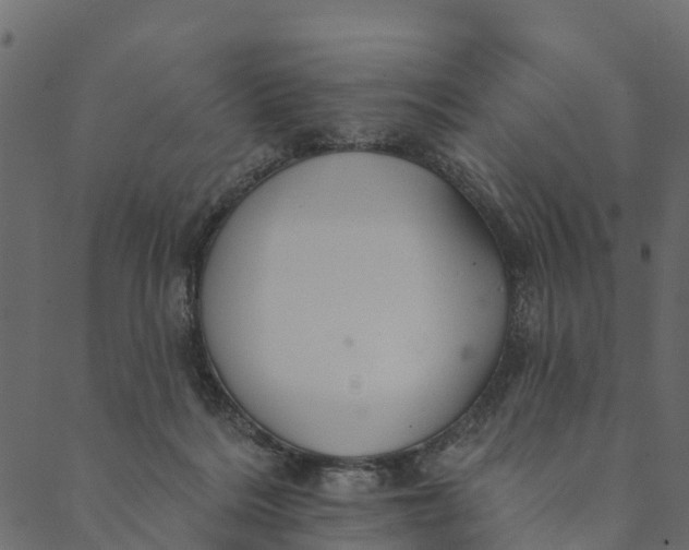 X0000089660220200707121207