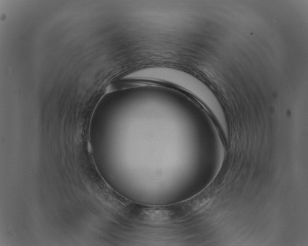 X0000089660221200707121207