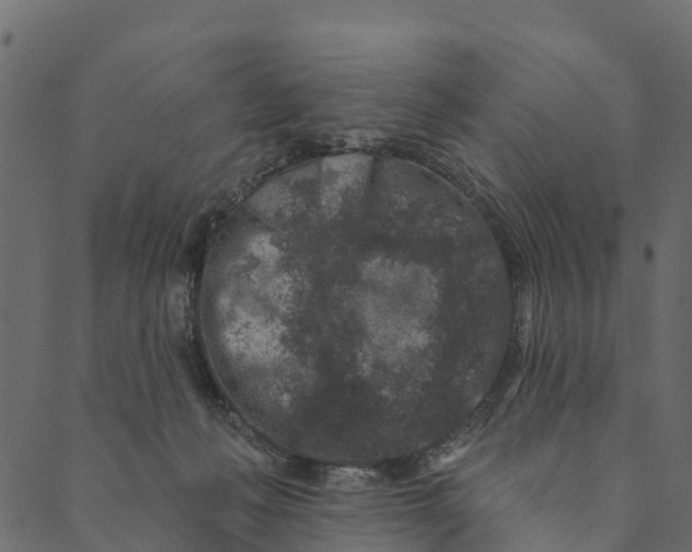 X0000089660222200707121207