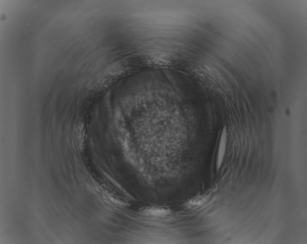 X0000089660223200707121207