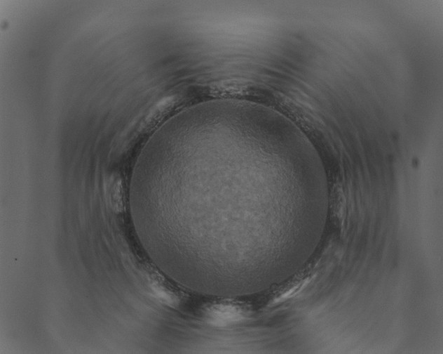 X0000089660224200707121207