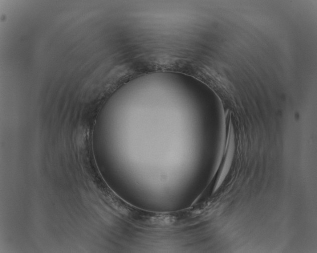 X0000089660225200707121207