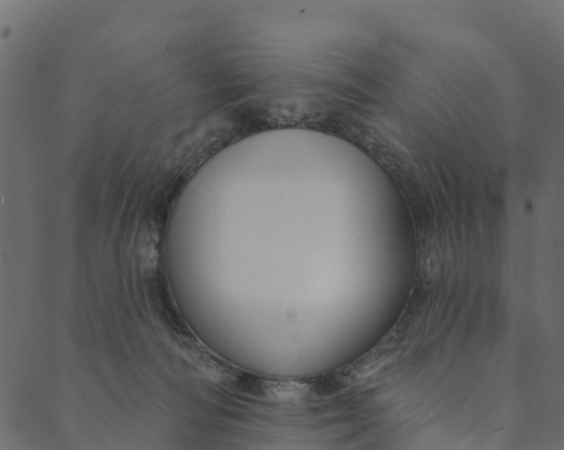 X0000089660226200707121207