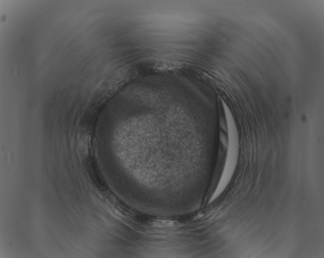 X0000089660227200707121207