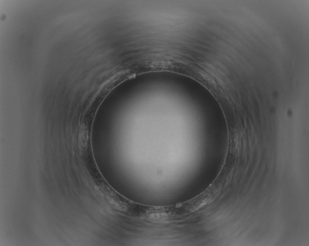 X0000089660228200707121207