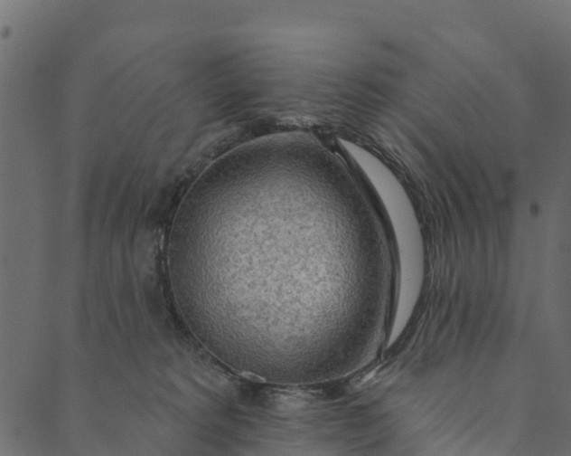 X0000089660229200707121207