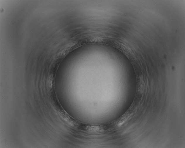 X0000089660230200707121207