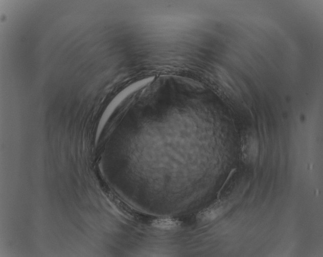 X0000089660231200707121207