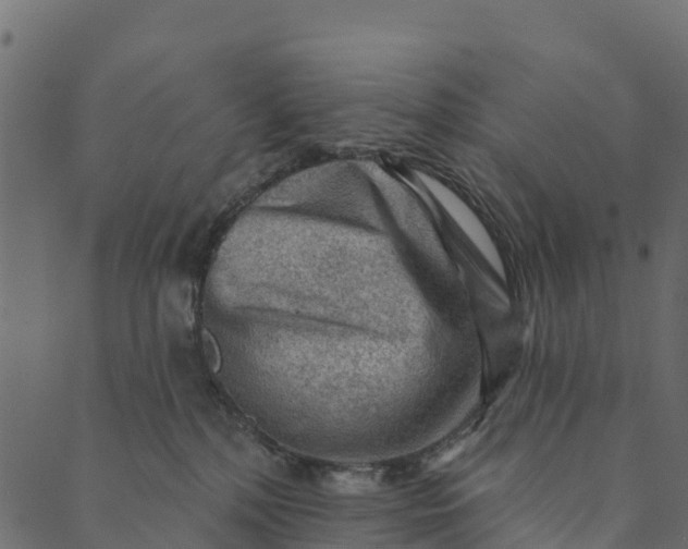 X0000089660232200707121207