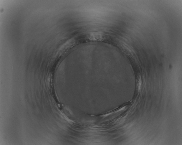 X0000089660233200707121207