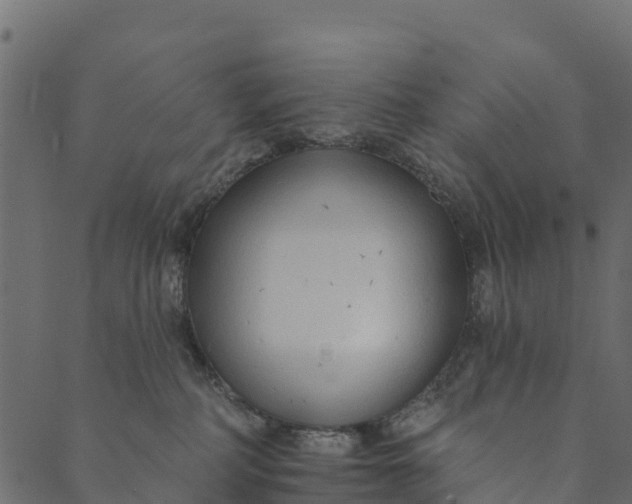 X0000089660234200707121207