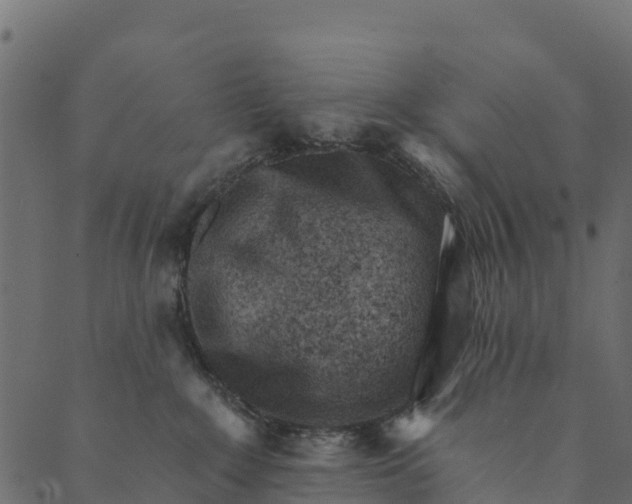 X0000089660235200707121207