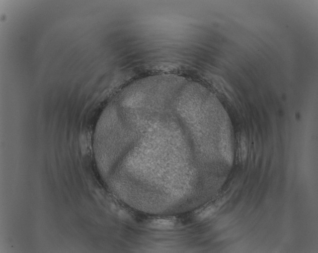 X0000089660236200707121207