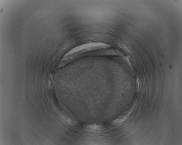 X0000089660237200707121207