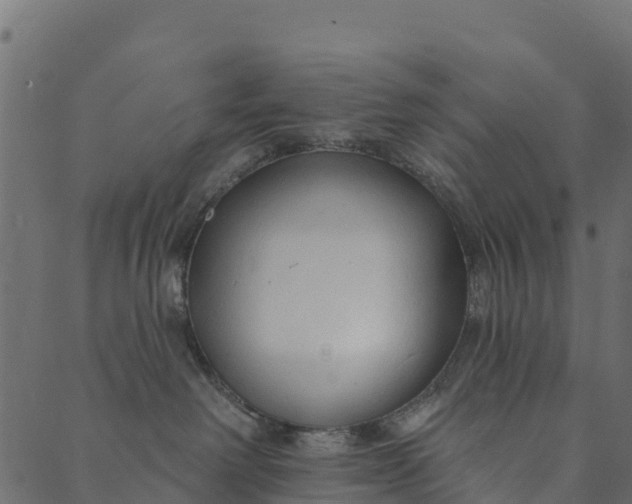 X0000089660238200707121207