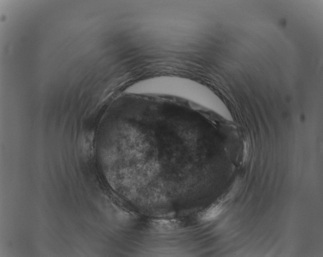 X0000089660239200707121206