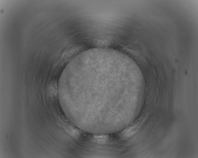 X0000089660240200707121206