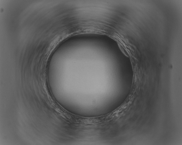 X0000089660241200707121206