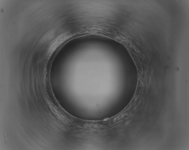 X0000089660242200707121206