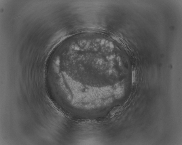 X0000089660243200707121206