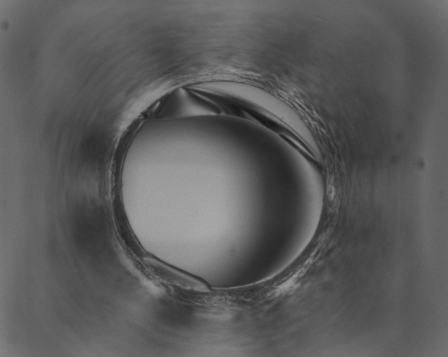 X0000089660244200707121206