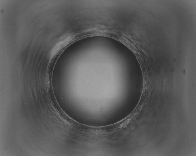 X0000089660245200707121206