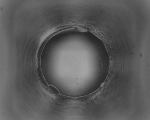 X0000089660246200707121206