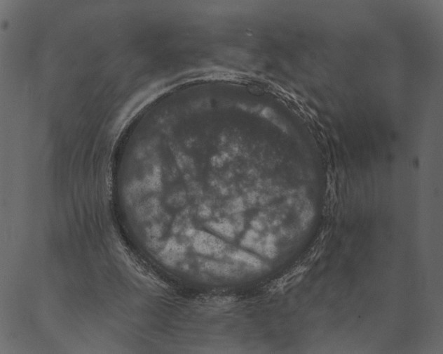 X0000089660247200707121206