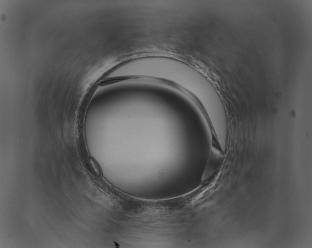 X0000089660248200707121206