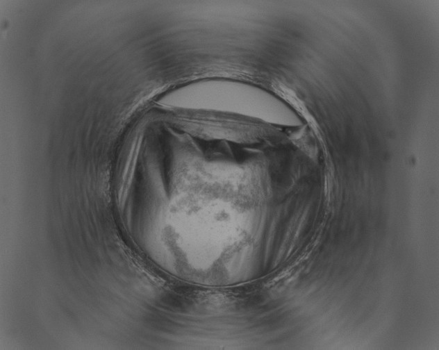 X0000089660249200707121206