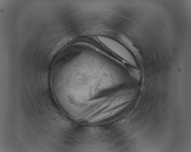 X0000089660250200707121206