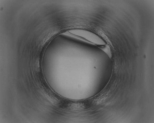 X0000089660251200707121206