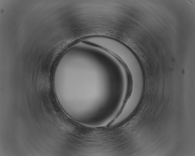 X0000089660252200707121206