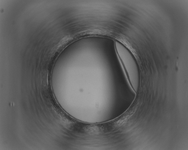 X0000089660253200707121206