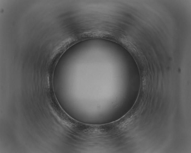 X0000089660254200707121206