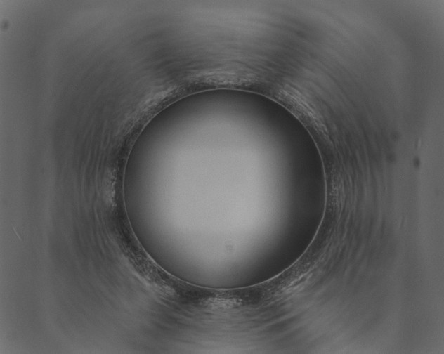 X0000089660255200707121206