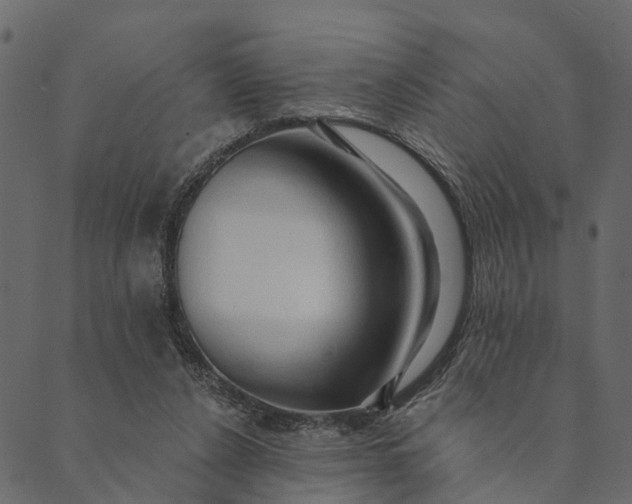 X0000089660256200707121206