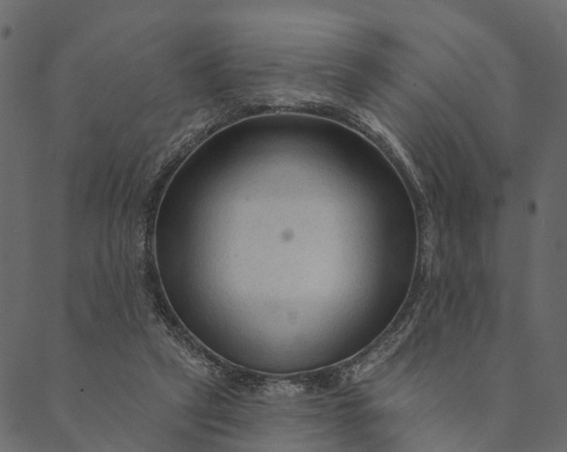 X0000089660257200707121206