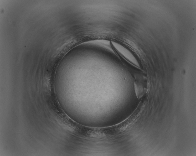 X0000089660258200707121206